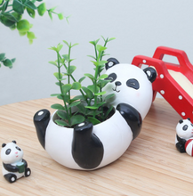 Load image into Gallery viewer, Creative Cartoon Animal Succulent Plant Pot
