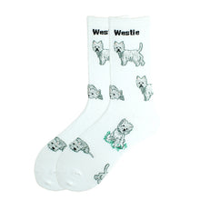 Load image into Gallery viewer, New cute animal collection socks trend