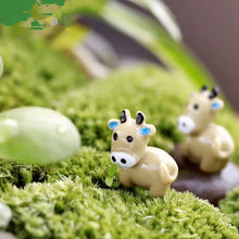 Load image into Gallery viewer, Moss Micro Landscape Succulent Creative Decorations