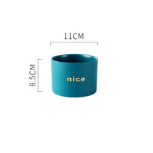 Load image into Gallery viewer, Creative Personality Iron Ceramic Flowerpot