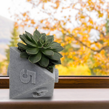 Load image into Gallery viewer, 3D Printed Plant Pot Table Top RPG Dice Succulent Planter Set Home Decoration Multifunction Garden Flower Pot