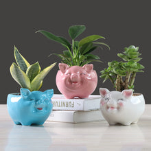 Load image into Gallery viewer, Simple Nordic Cartoon Animal Succulent Flower Pot Ceramic Decorative Ornaments
