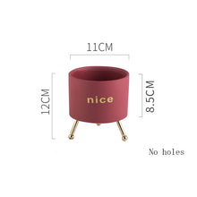 Load image into Gallery viewer, Creative Personality Iron Ceramic Flowerpot