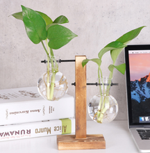 Load image into Gallery viewer, Glass Wood Vase Table Desktop Hydroponics Plant Stationery Bonsai Flower Pot Decoration Hanging Pots with Wooden Tray Pen Holder