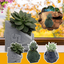 Load image into Gallery viewer, 3D Printed Plant Pot Table Top RPG Dice Succulent Planter Set Home Decoration Multifunction Garden Flower Pot