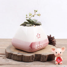 Load image into Gallery viewer, Creative Cute Succulent Flower Pot Handmade