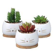 Load image into Gallery viewer, 4 inch succulent flower pot