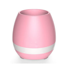 Load image into Gallery viewer, Music Flowerpot