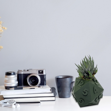 Load image into Gallery viewer, 3D Printed Plant Pot Table Top RPG Dice Succulent Planter Set Home Decoration Multifunction Garden Flower Pot