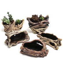 Load image into Gallery viewer, Cement root carving succulent flower pot