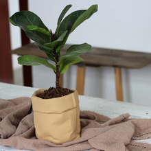 Load image into Gallery viewer, Cement Cloth Bag Flowerpot Cowhide Bag Simple