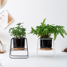 Load image into Gallery viewer, Trapezoidal wrought iron ceramic flower pot