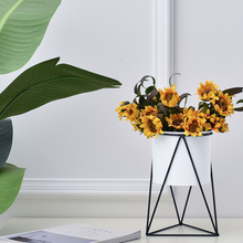 Load image into Gallery viewer, North Flower Pot Iron Flower Stand Green Radish Office Living Room Home