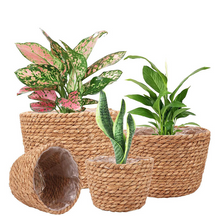 Load image into Gallery viewer, Storage Basket Plant Flower Pot Straw Seaweed Weaving Mechanism Amazon Size Plant Basket Interior Decorative Flower Pot