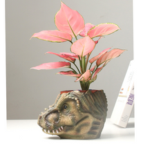 Load image into Gallery viewer, Resin Tyrannosaurus Head Contour Flower Pot