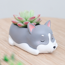 Load image into Gallery viewer, Resin Sleeping Pet Succulent Flower Pot, Desktop Potted Decoration Pendulum