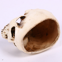 Load image into Gallery viewer, Halloween Home Skull Ashtray Flower Pot