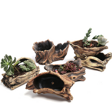Load image into Gallery viewer, Cement root carving succulent flower pot