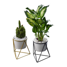Load image into Gallery viewer, Green Plant Ceramic Iron Frame Flower Pot