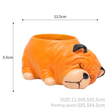 Load image into Gallery viewer, Creative Sleeping Pet Succulent Flower Pot