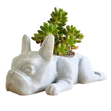 Load image into Gallery viewer, Resin Crafts Flower Pots Gardening Ornaments