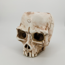Load image into Gallery viewer, Halloween Skull Resin Flower Pot Outdoor Study