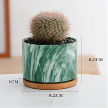 Load image into Gallery viewer, Straight Round Marble Ceramic Succulent Flower Pot