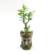 Load image into Gallery viewer, Strongwell Imitation Tree Head Old Man Flower Pot Container Garden Tree Man Figurine Planter Pot Desktop Home Decoration Gift