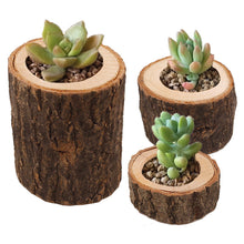 Load image into Gallery viewer, Succulent Flower Pots Semi-handmade Ornaments