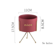 Load image into Gallery viewer, Creative Personality Iron Ceramic Flowerpot