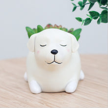 Load image into Gallery viewer, Creative Sleeping Pet Succulent Flower Pot