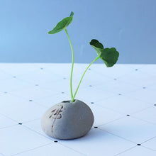 Load image into Gallery viewer, Office Desktop Imitated Stone Writing Thumb Floret Home Ceramic Succulent Flower Pot
