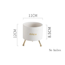 Load image into Gallery viewer, Creative Personality Iron Ceramic Flowerpot