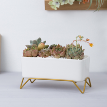 Load image into Gallery viewer, Huaxiaju Simple Nordic Creative Rectangular Succulent Flower Pot