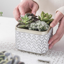 Load image into Gallery viewer, Succulent Flower Pot Set Combination Phnom Penh Geometric Cement Flower