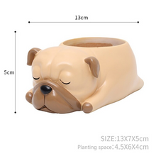 Load image into Gallery viewer, Creative Sleeping Pet Succulent Flower Pot