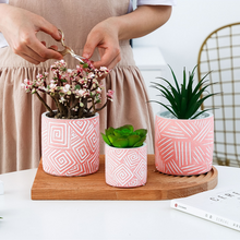 Load image into Gallery viewer, European style simple succulent plant pot