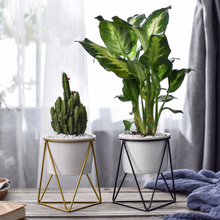 Load image into Gallery viewer, Green Plant Ceramic Iron Frame Flower Pot