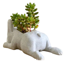 Load image into Gallery viewer, Resin Crafts Flower Pots Gardening Ornaments