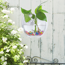 Load image into Gallery viewer, Hot wall greenkindergarten wall pot hydroponics Chlorophytum Home Furnishing study restaurant wall decorations