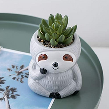 Load image into Gallery viewer, Simple Ceramic Succulent Breathable Sloth Flower Pot