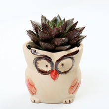 Load image into Gallery viewer, Cartoon Animal Succulent Flower Pot Ceramic Household Creative Stoneware Breathable