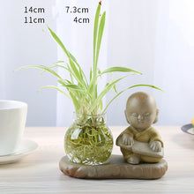 Load image into Gallery viewer, Glass Transparent Water Cultivation Green Dish Ware Flower Pot