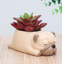 Load image into Gallery viewer, Animal Planter Pot