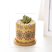 Load image into Gallery viewer, Mandala Succulent Potted Nordic Color Pot
