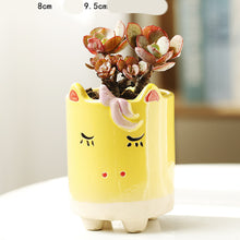 Load image into Gallery viewer, Cartoon Animal Succulent Flower Pot Ceramic Household Creative Stoneware Breathable