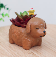 Load image into Gallery viewer, Creative Sleeping Pet Succulent Flower Pot