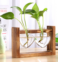 Load image into Gallery viewer, Glass Wood Vase Table Desktop Hydroponics Plant Stationery Bonsai Flower Pot Decoration Hanging Pots with Wooden Tray Pen Holder