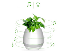 Load image into Gallery viewer, Music Flowerpot