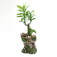 Load image into Gallery viewer, Strongwell Imitation Tree Head Old Man Flower Pot Container Garden Tree Man Figurine Planter Pot Desktop Home Decoration Gift